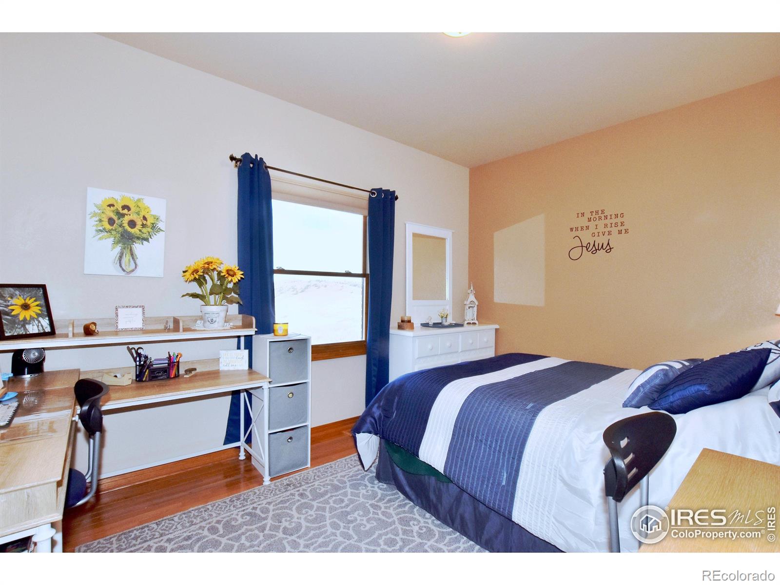 MLS Image #15 for 2707  sedona hills drive,loveland, Colorado