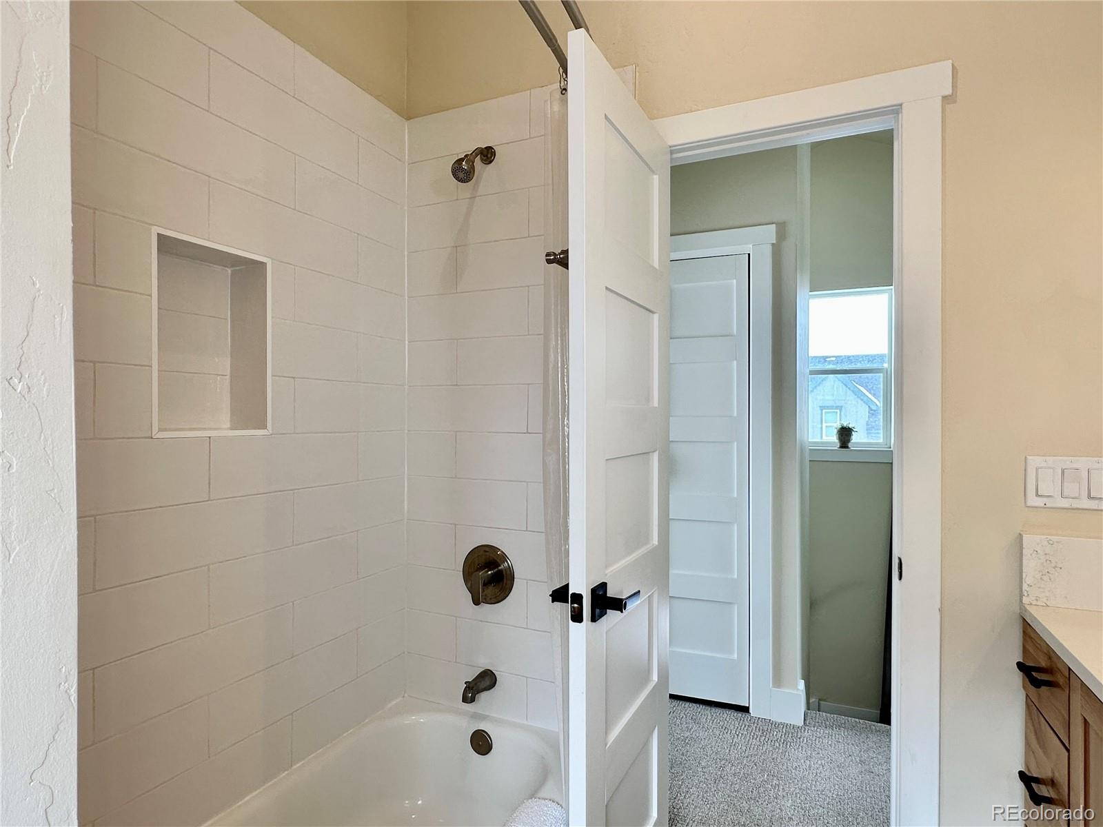 MLS Image #20 for 1306  silver vault street,leadville, Colorado