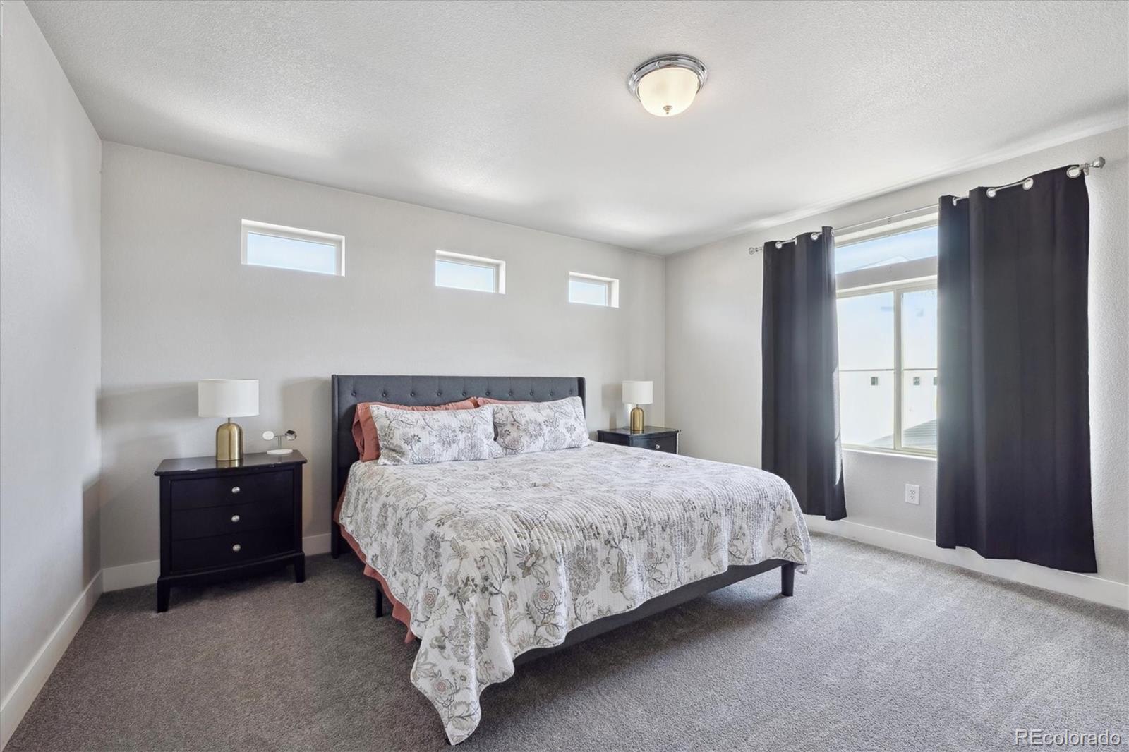 MLS Image #10 for 18066 e 104th way,commerce city, Colorado