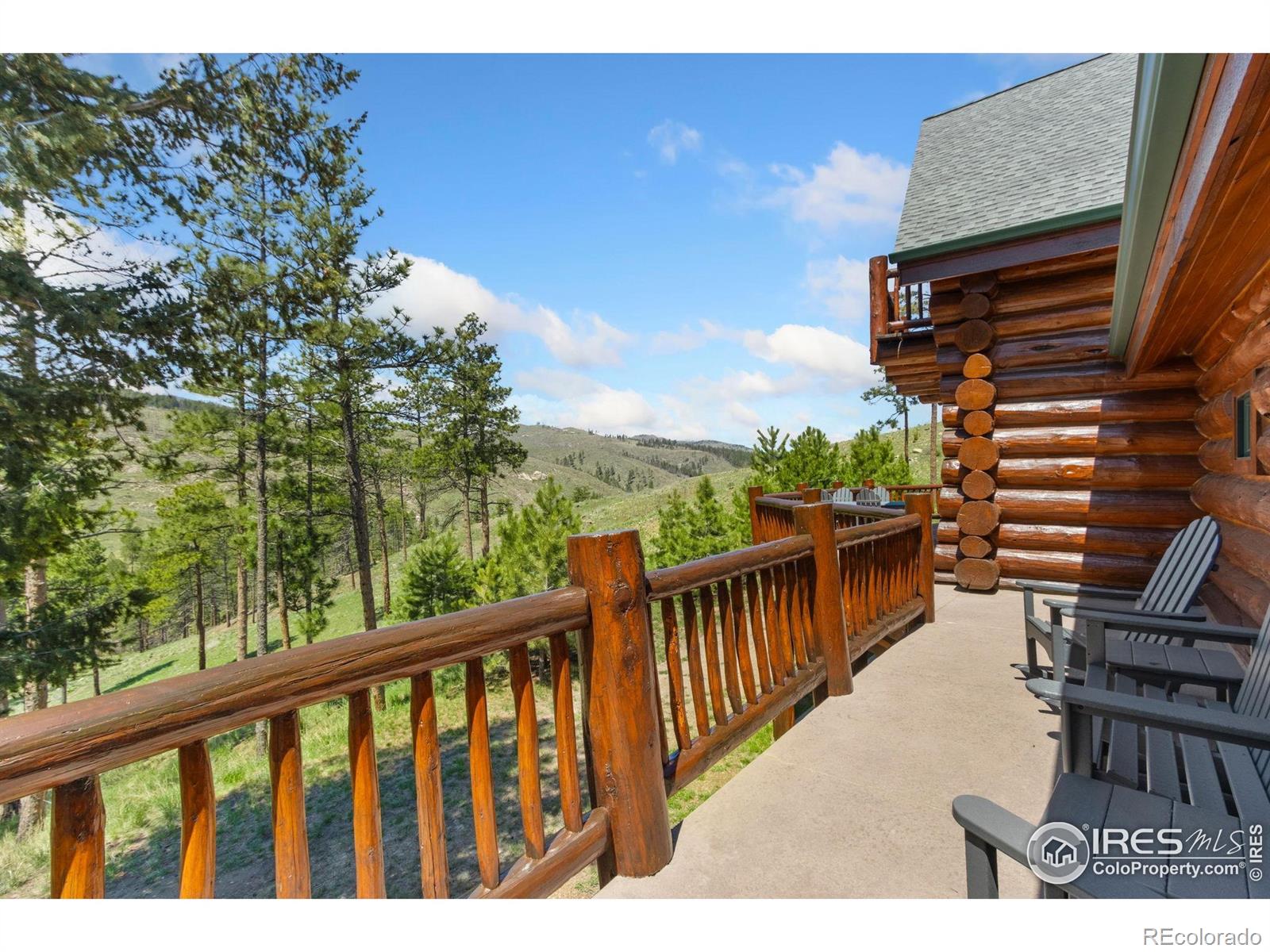 MLS Image #14 for 117  crocus drive,bellvue, Colorado