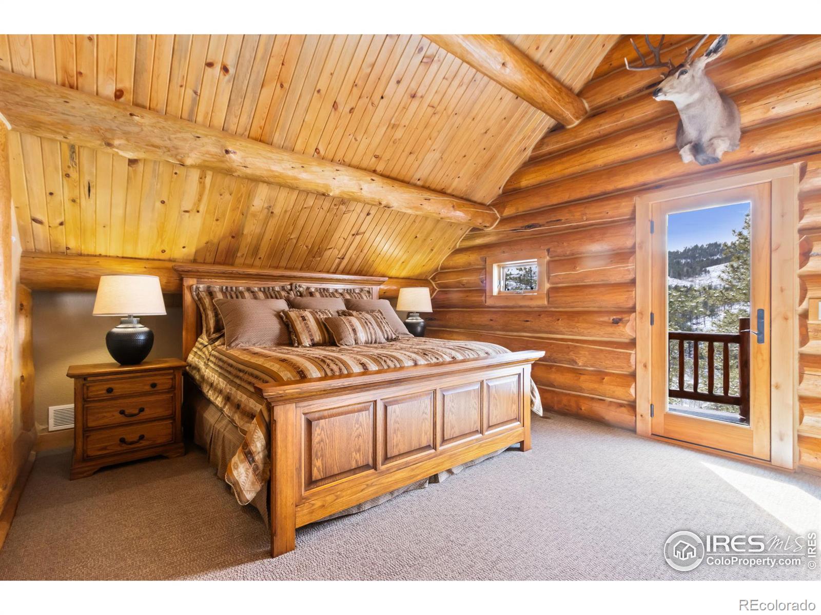 MLS Image #18 for 117  crocus drive,bellvue, Colorado