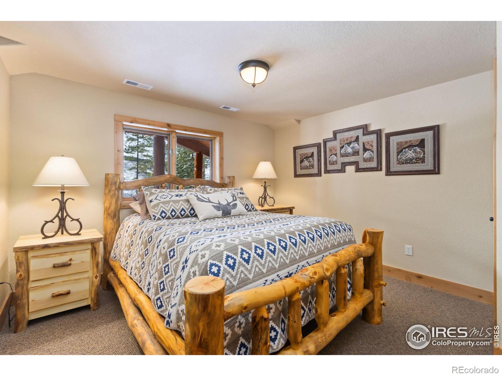 MLS Image #25 for 117  crocus drive,bellvue, Colorado