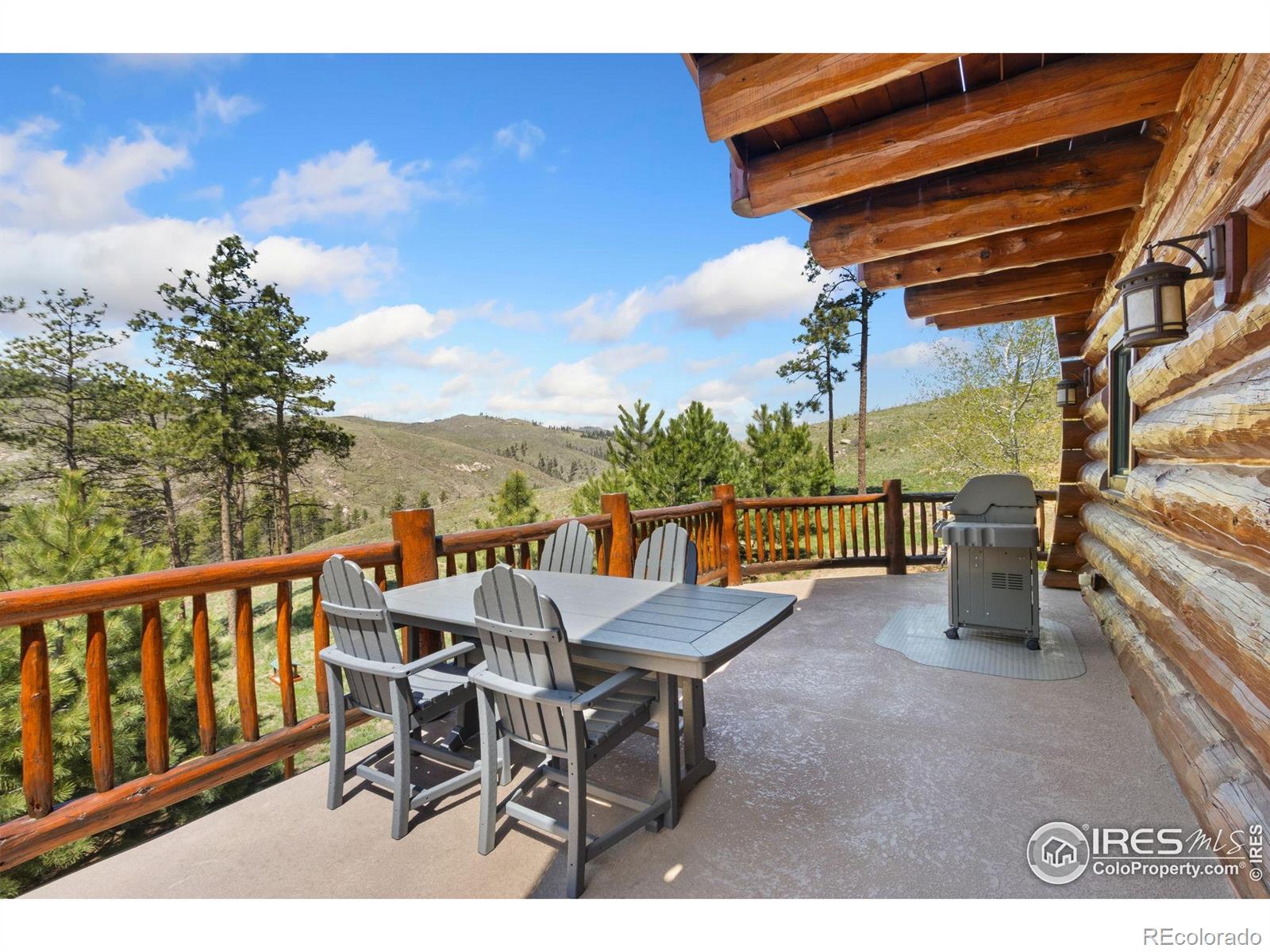 MLS Image #28 for 117  crocus drive,bellvue, Colorado
