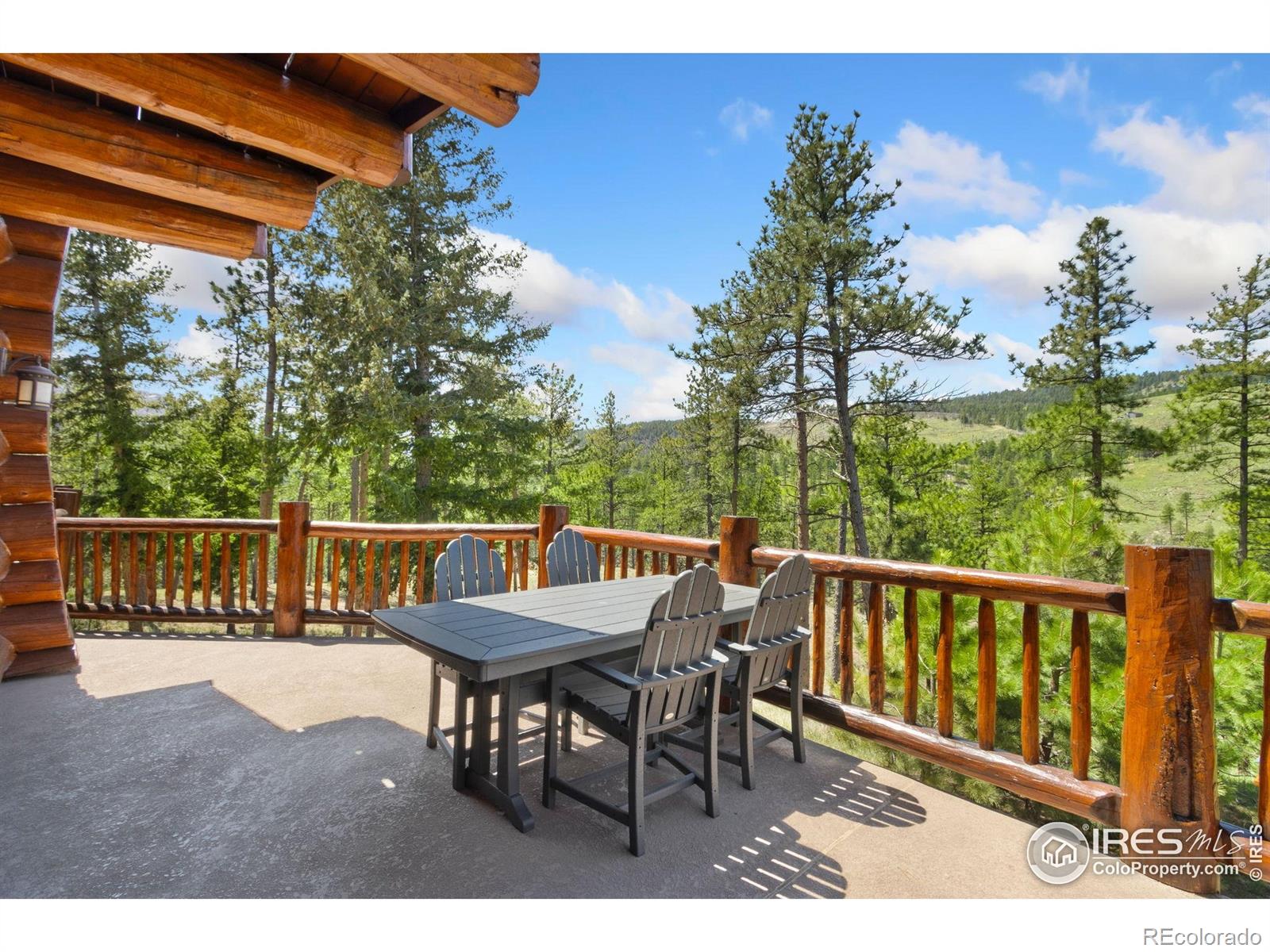 MLS Image #29 for 117  crocus drive,bellvue, Colorado