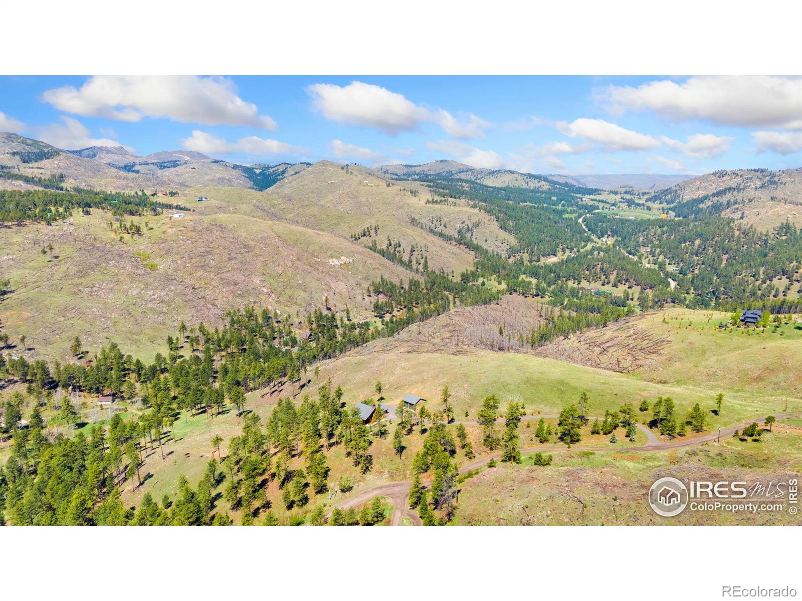 MLS Image #35 for 117  crocus drive,bellvue, Colorado
