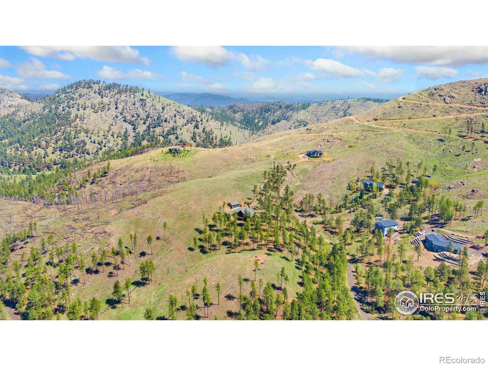 MLS Image #36 for 117  crocus drive,bellvue, Colorado