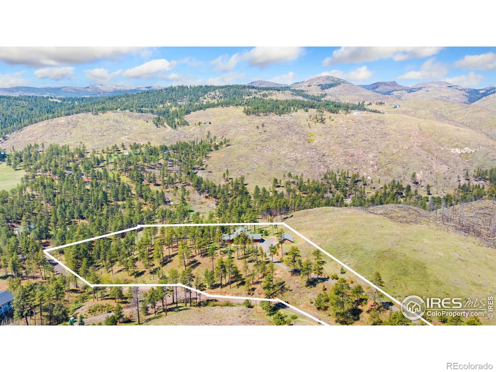 MLS Image #4 for 117  crocus drive,bellvue, Colorado