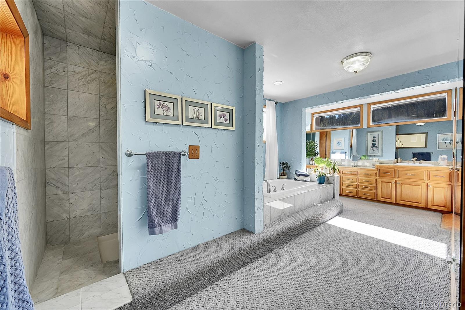 MLS Image #14 for 31453  upper bear creek road,evergreen, Colorado