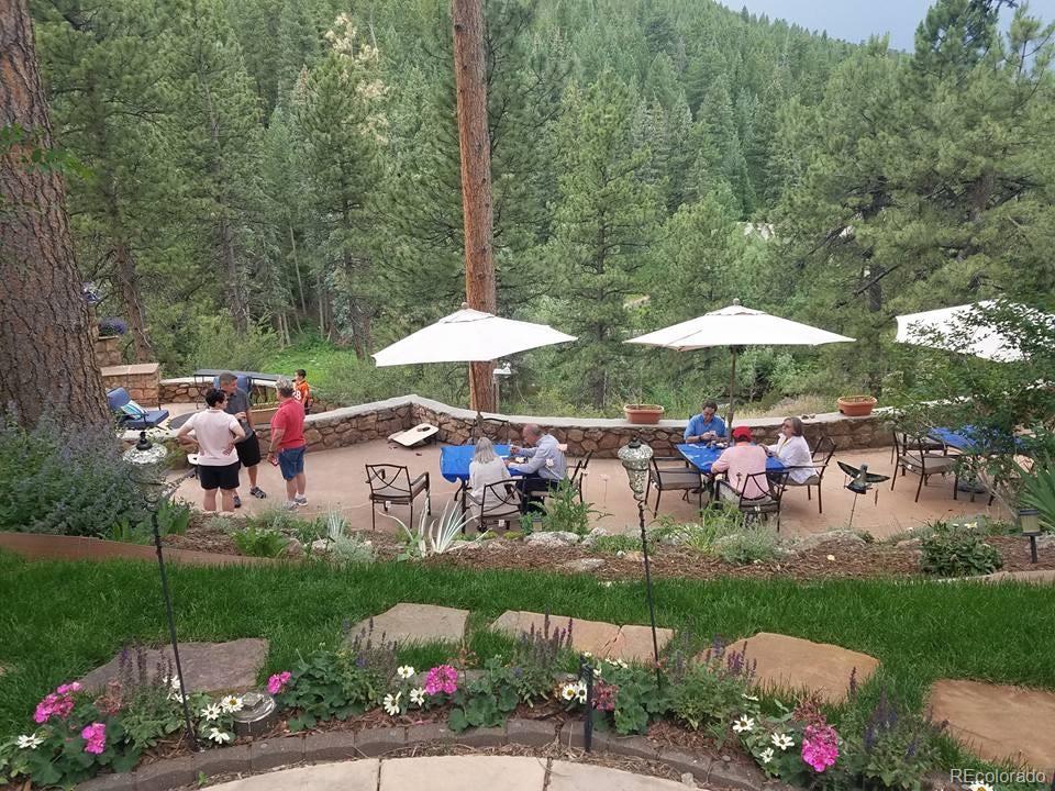 MLS Image #20 for 31453  upper bear creek road,evergreen, Colorado