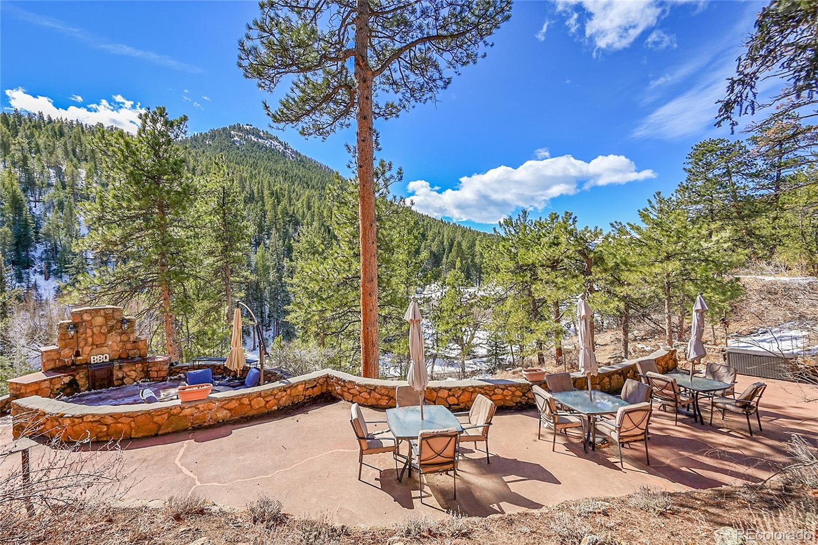 MLS Image #7 for 31453  upper bear creek road,evergreen, Colorado