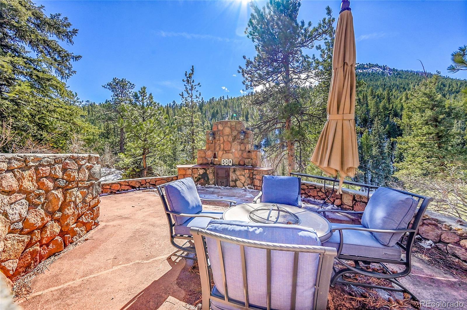 MLS Image #8 for 31453  upper bear creek road,evergreen, Colorado