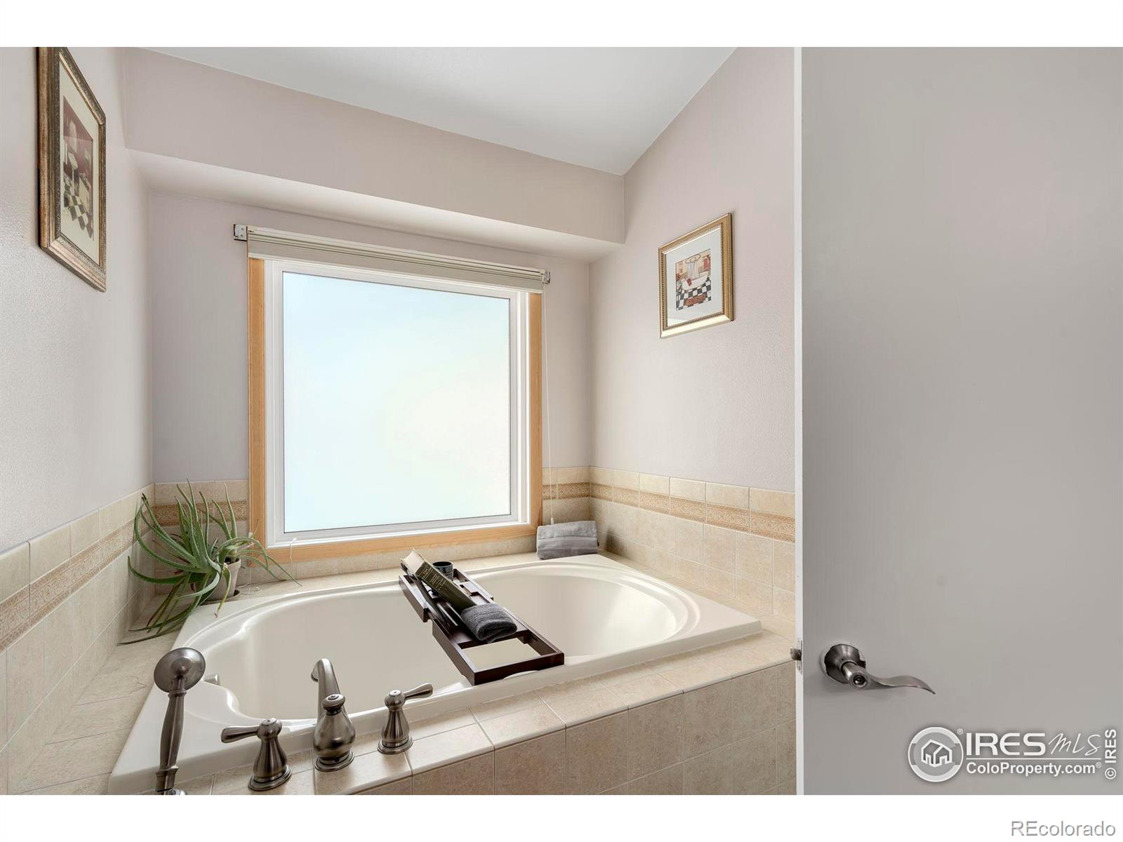 MLS Image #19 for 4254  kingsbury drive,fort collins, Colorado
