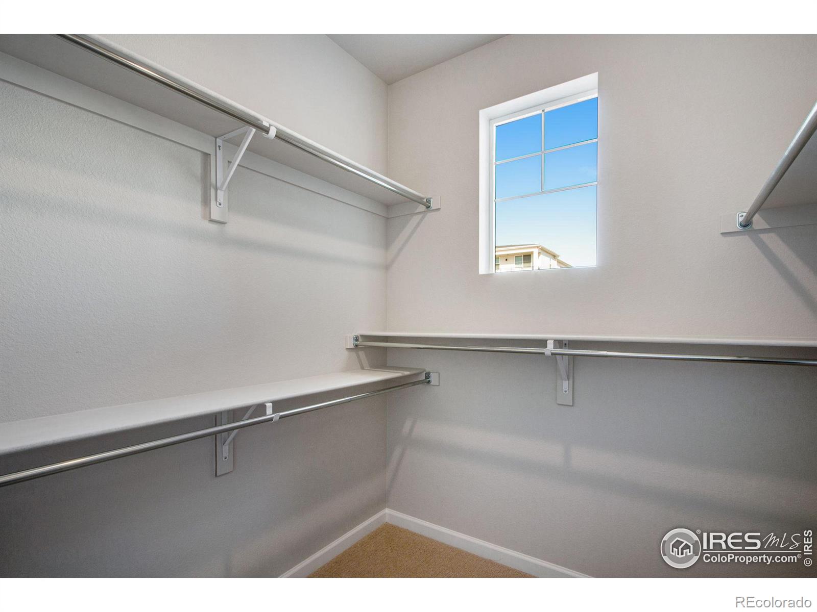 MLS Image #20 for 1419  great western drive,longmont, Colorado