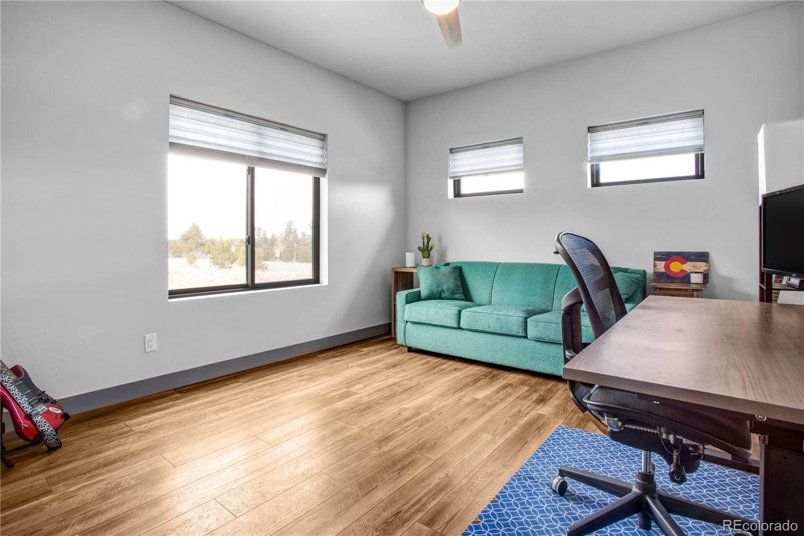 MLS Image #27 for 13321  county road 261 ,nathrop, Colorado