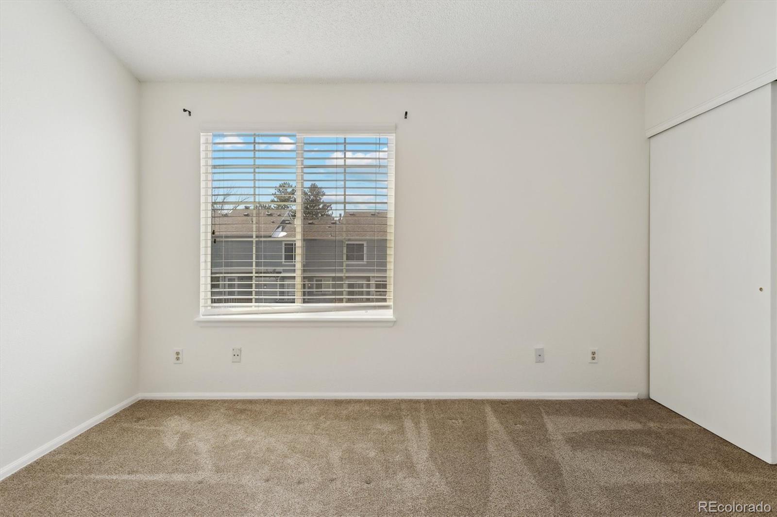 MLS Image #13 for 894  summer drive,highlands ranch, Colorado