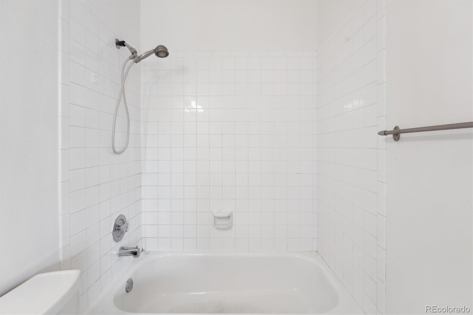 MLS Image #16 for 894  summer drive,highlands ranch, Colorado