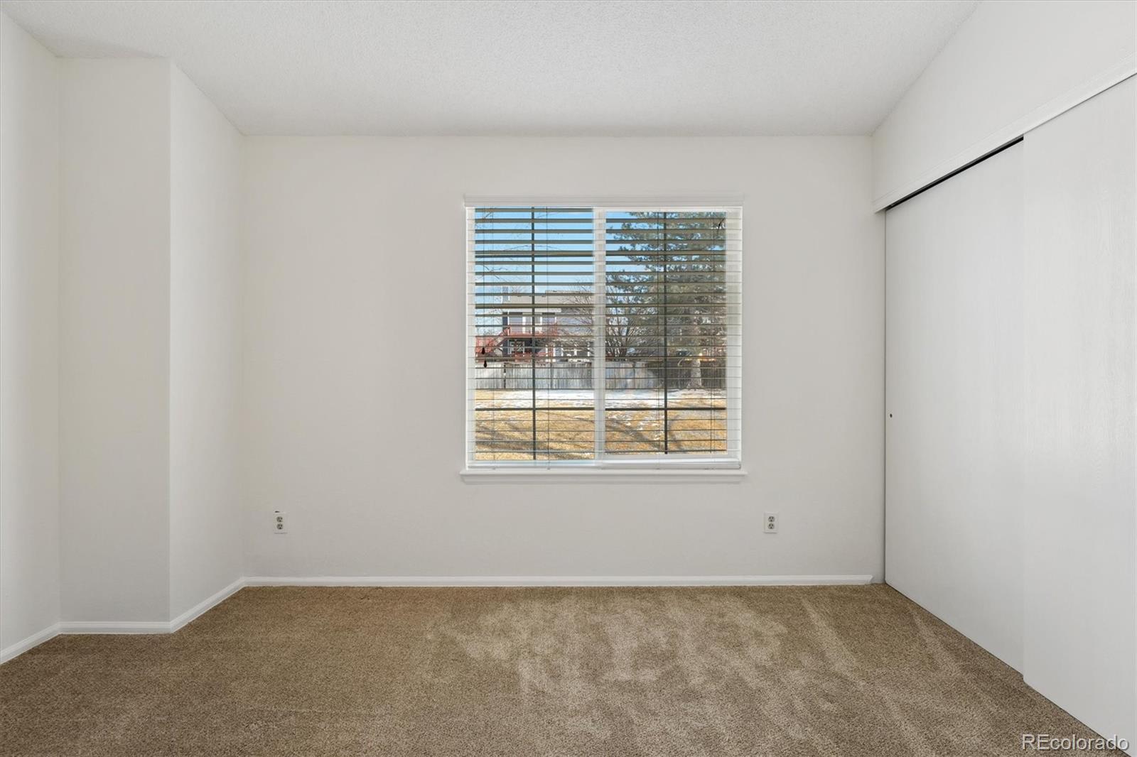 MLS Image #18 for 894  summer drive,highlands ranch, Colorado