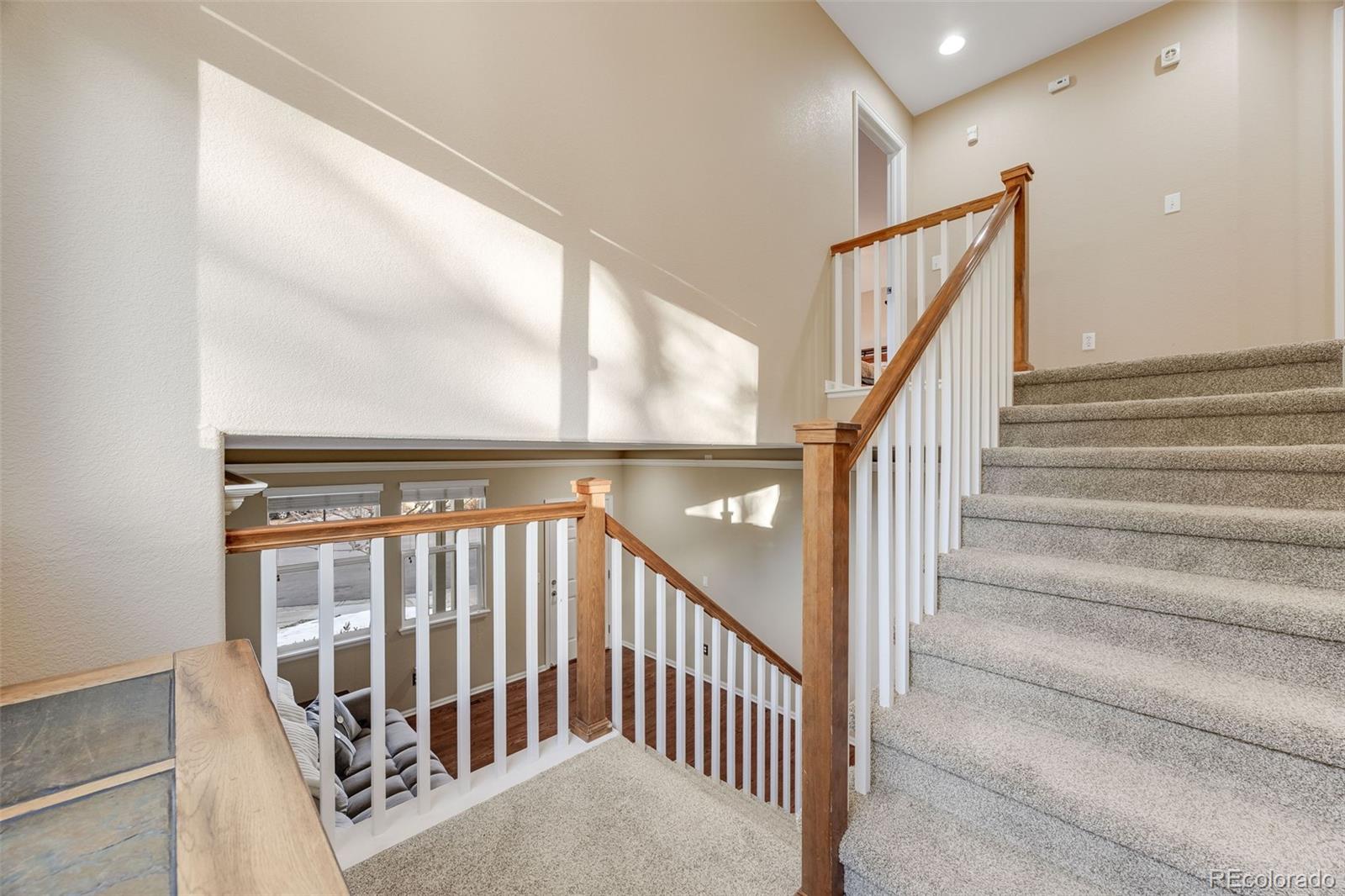 MLS Image #18 for 11053  meadowvale circle,highlands ranch, Colorado