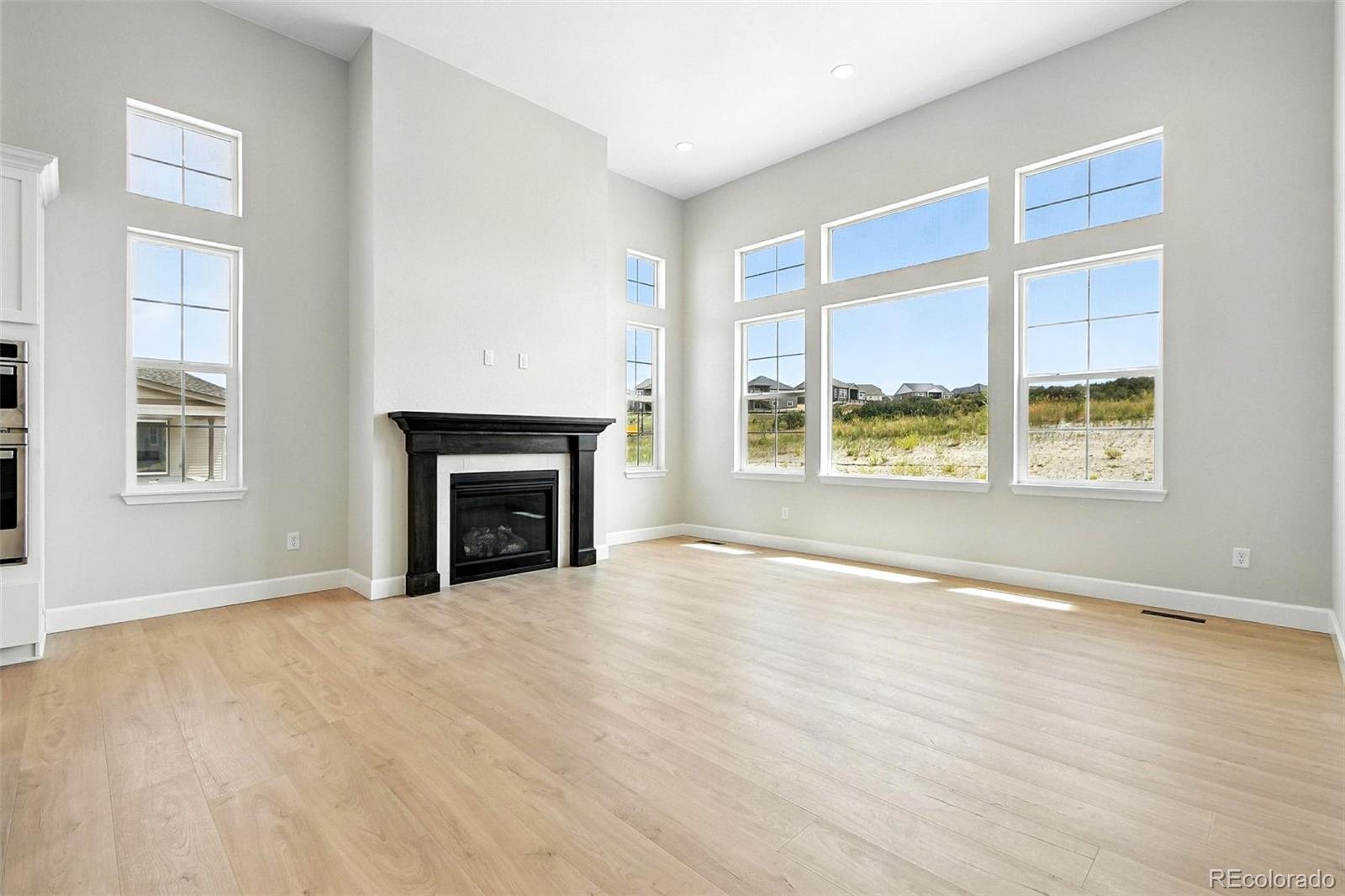 MLS Image #10 for 3394  backdrop court,castle rock, Colorado