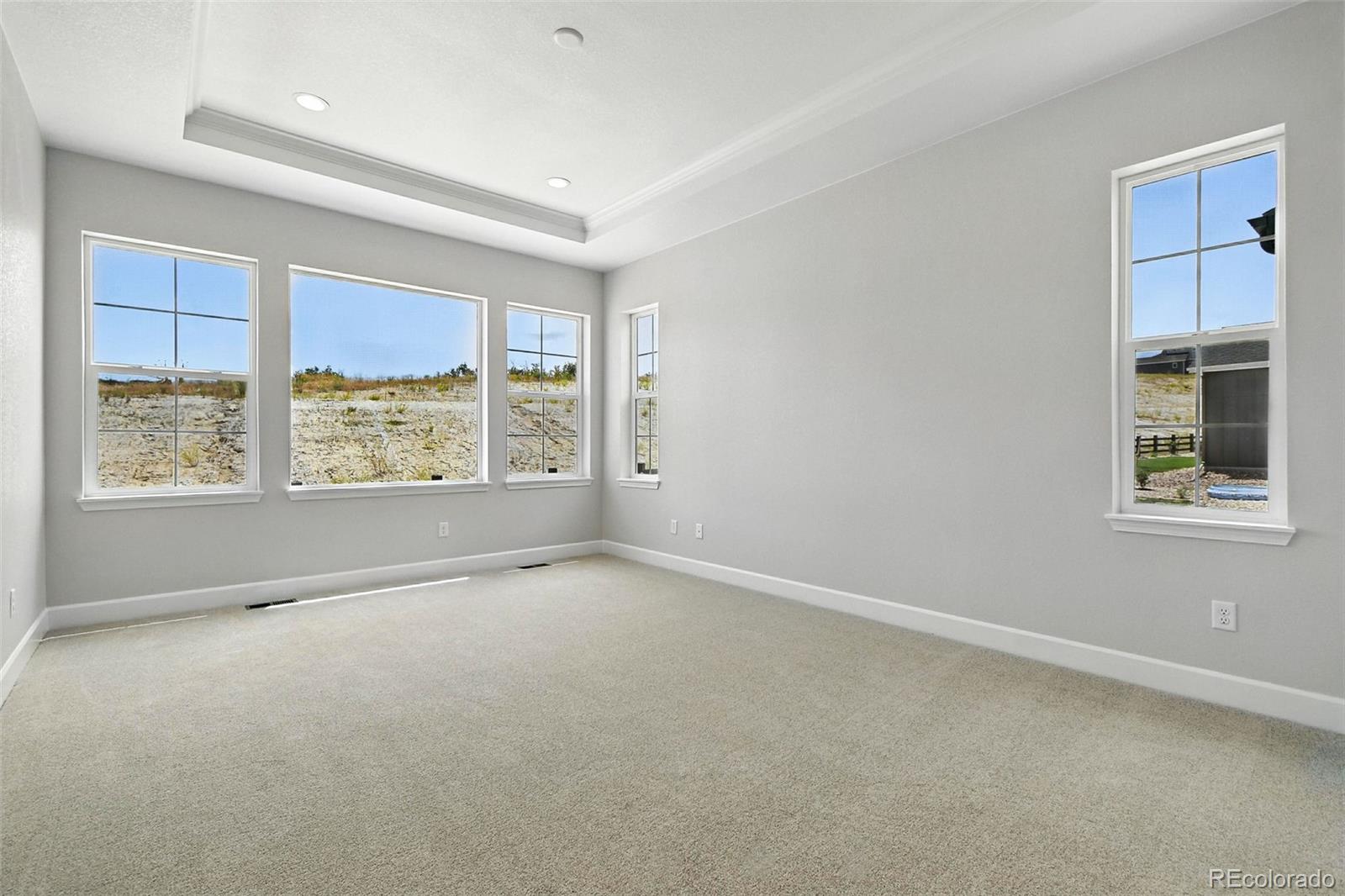 MLS Image #22 for 3394  backdrop court,castle rock, Colorado