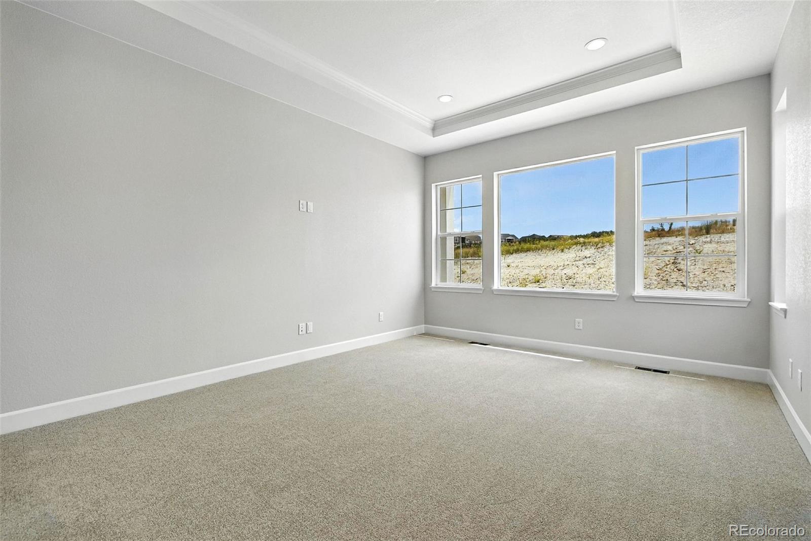 MLS Image #24 for 3394  backdrop court,castle rock, Colorado
