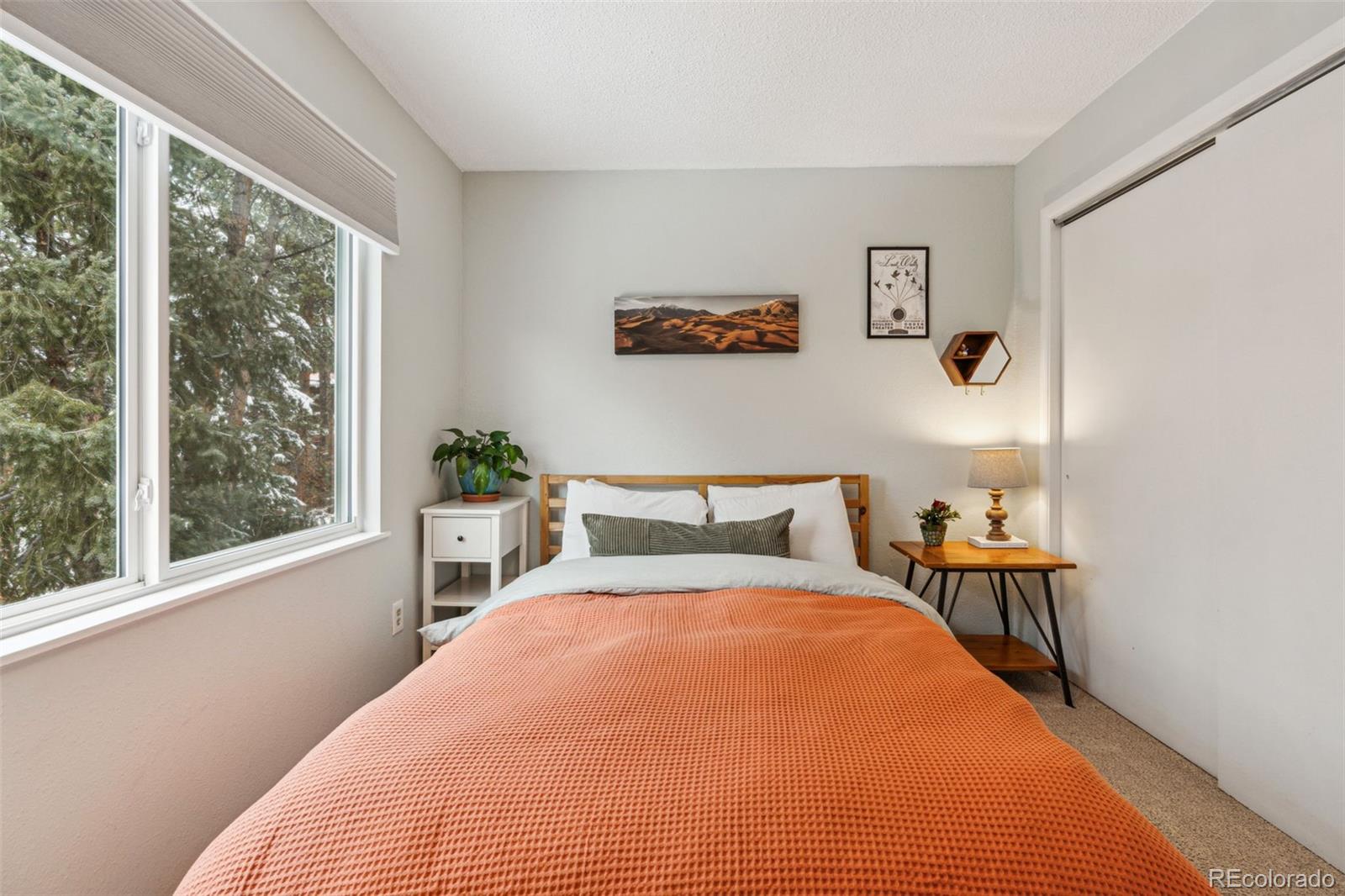 MLS Image #16 for 28254  tresine drive,evergreen, Colorado