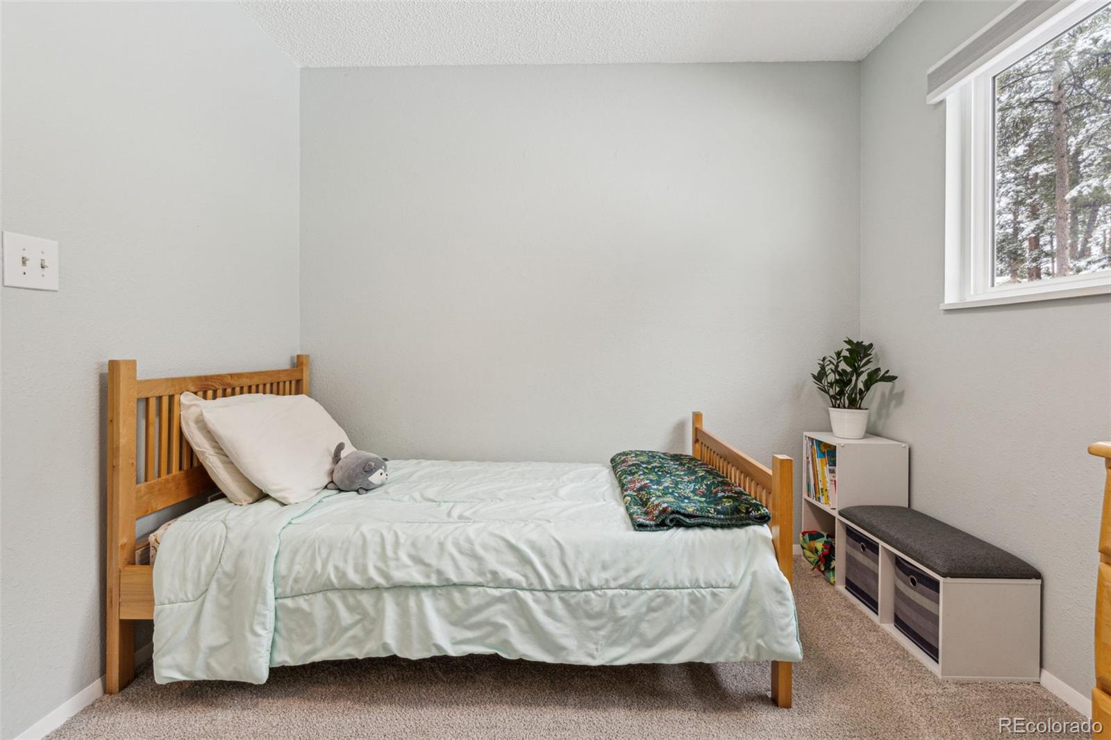 MLS Image #18 for 28254  tresine drive,evergreen, Colorado
