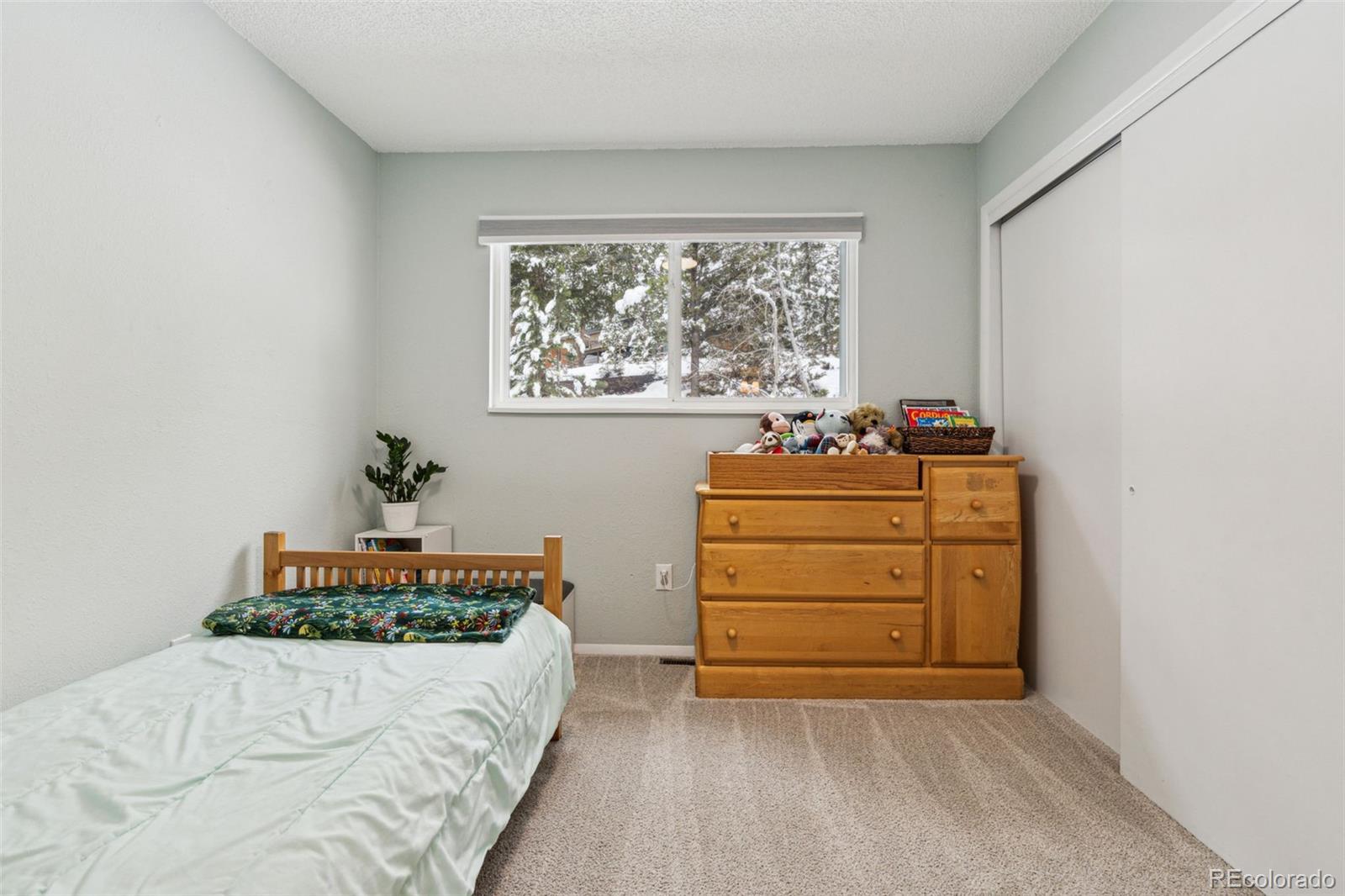 MLS Image #19 for 28254  tresine drive,evergreen, Colorado