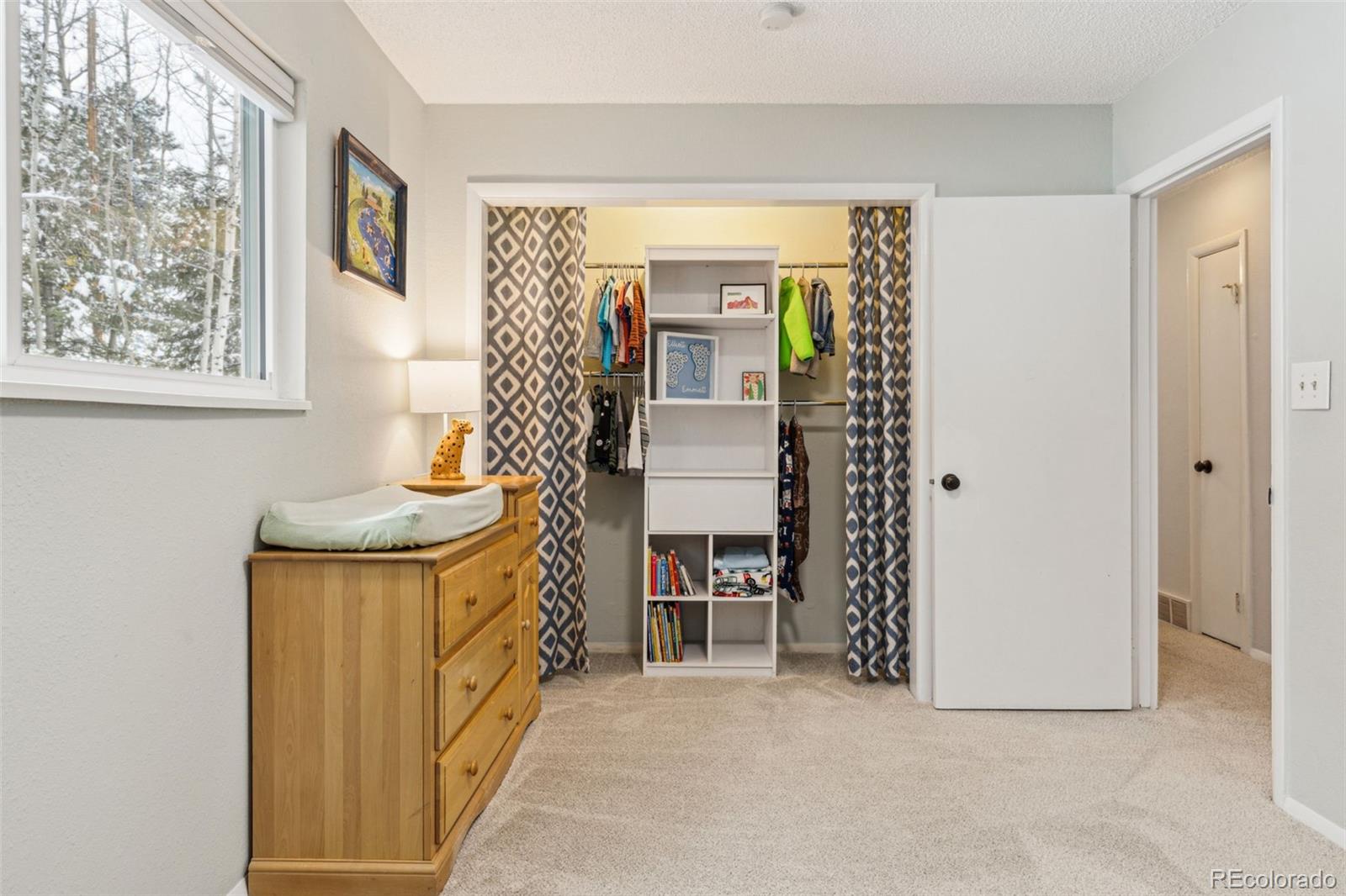 MLS Image #21 for 28254  tresine drive,evergreen, Colorado
