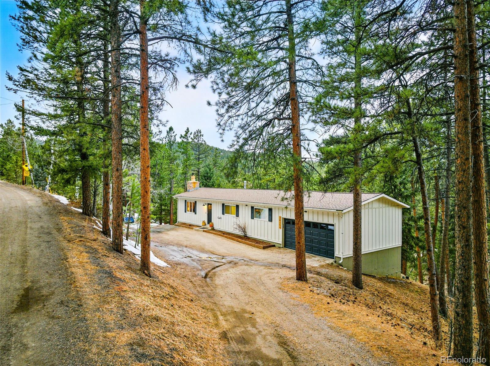 MLS Image #5 for 28254  tresine drive,evergreen, Colorado