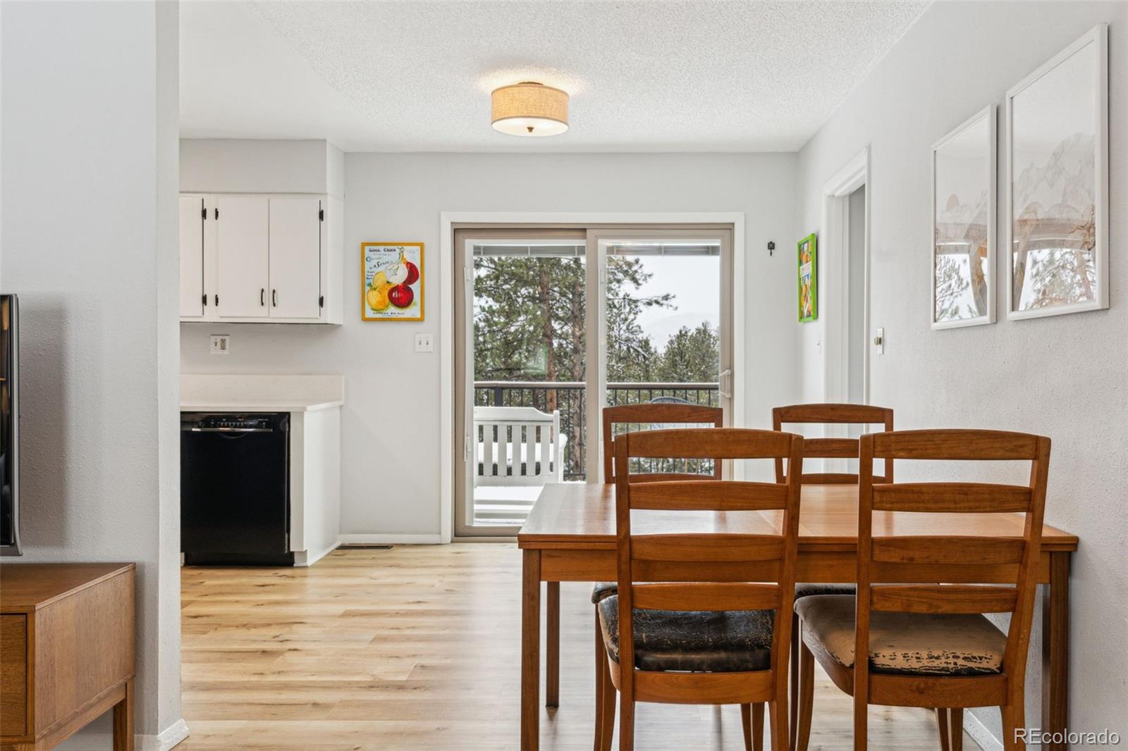 MLS Image #9 for 28254  tresine drive,evergreen, Colorado