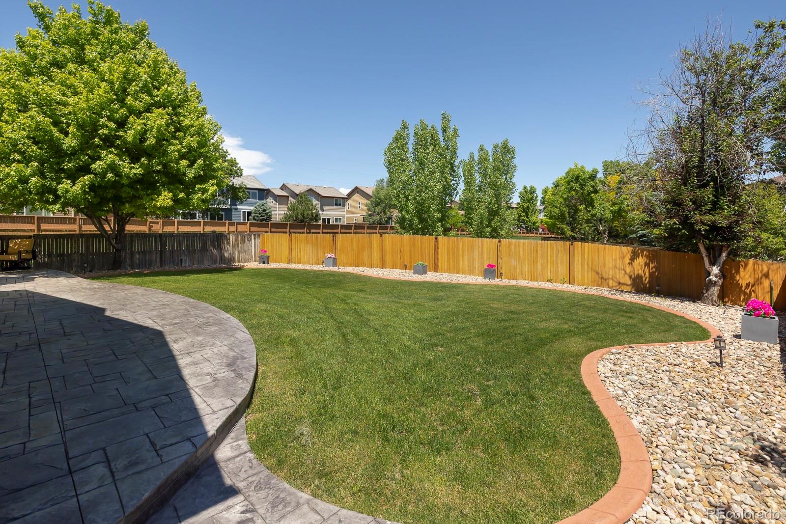 MLS Image #4 for 16102  grebe place,parker, Colorado
