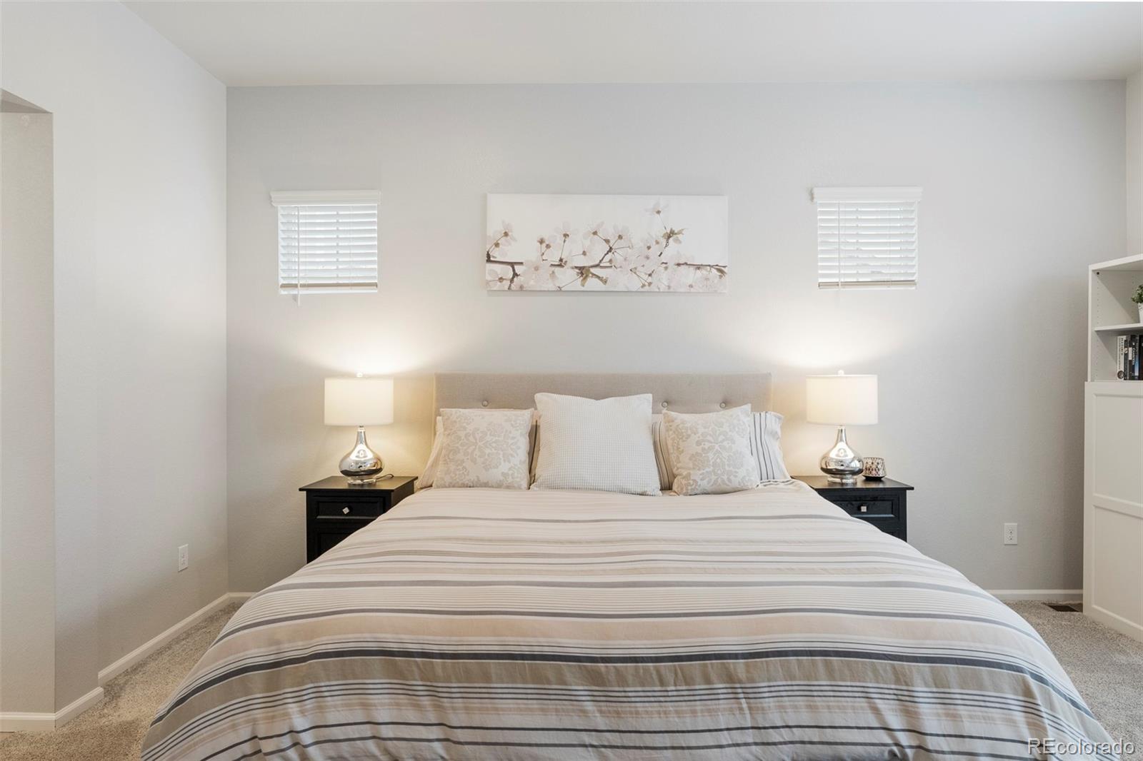 MLS Image #15 for 8503  estes park avenue,littleton, Colorado