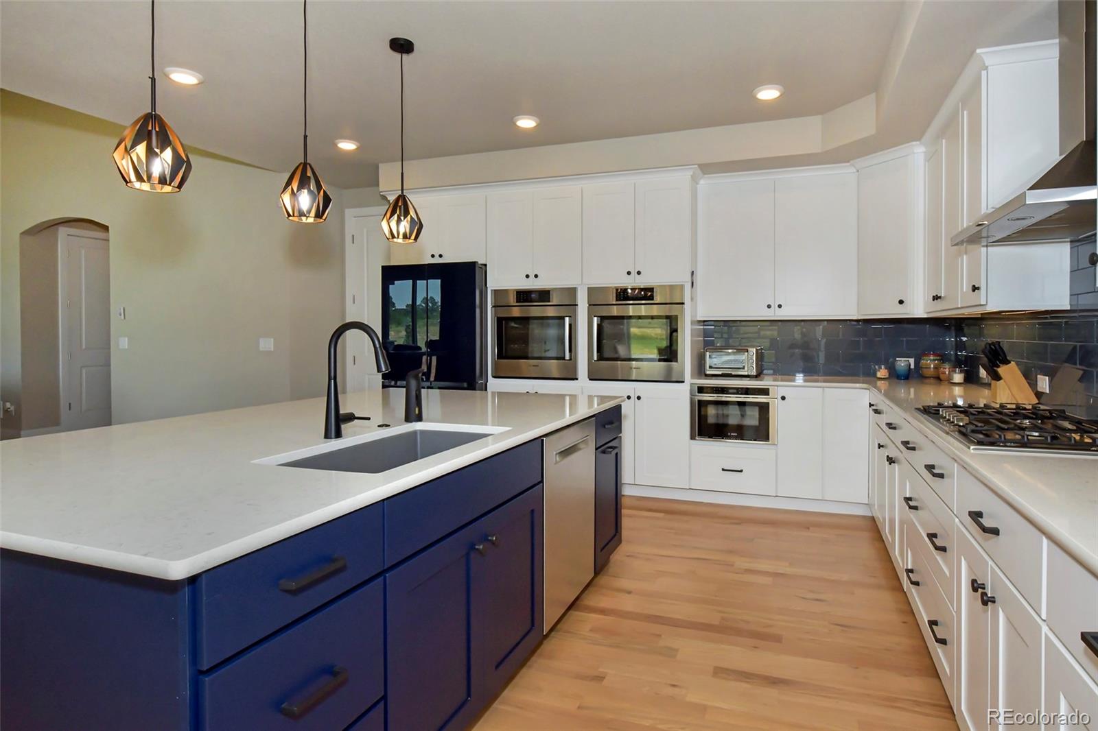 MLS Image #10 for 17249  abert ranch drive,colorado springs, Colorado
