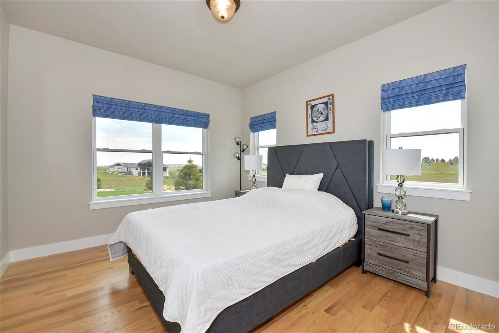 MLS Image #16 for 17249  abert ranch drive,colorado springs, Colorado