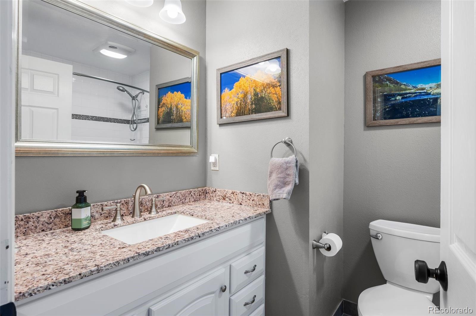 MLS Image #20 for 4813 s beech street,morrison, Colorado