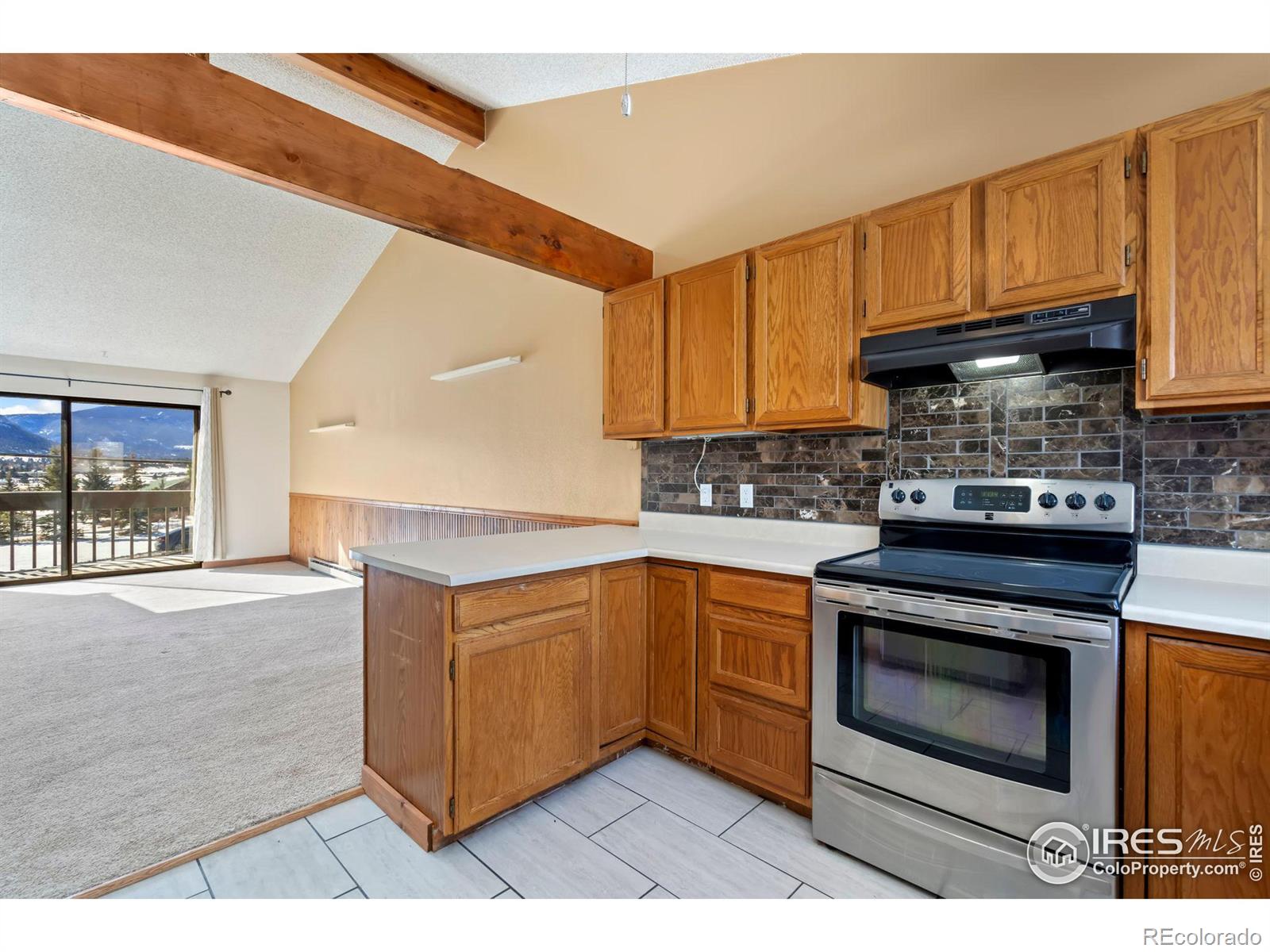 MLS Image #21 for 514  grand estates drive,estes park, Colorado