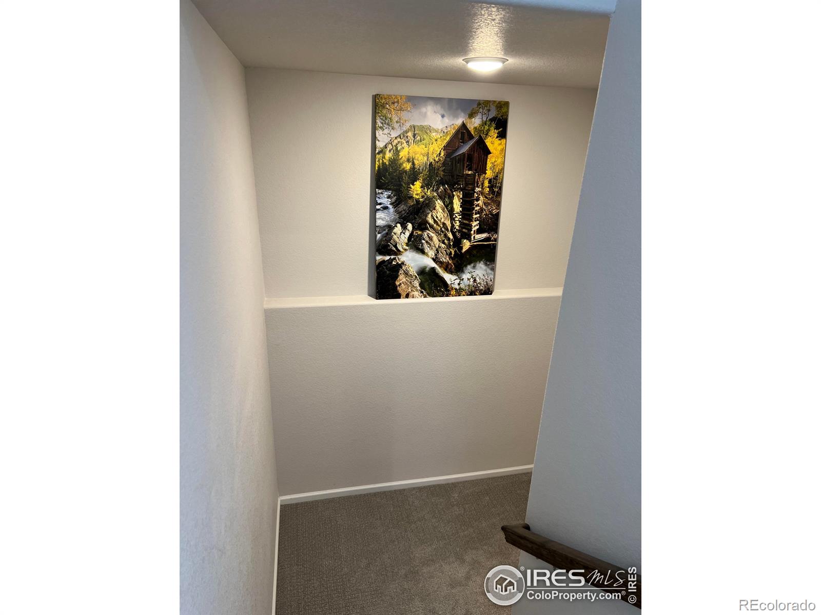 MLS Image #20 for 4520  hollycomb drive,windsor, Colorado