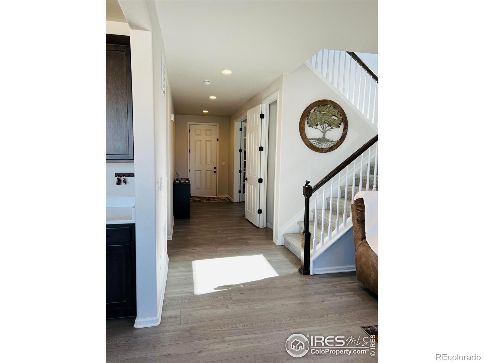 MLS Image #7 for 4520  hollycomb drive,windsor, Colorado