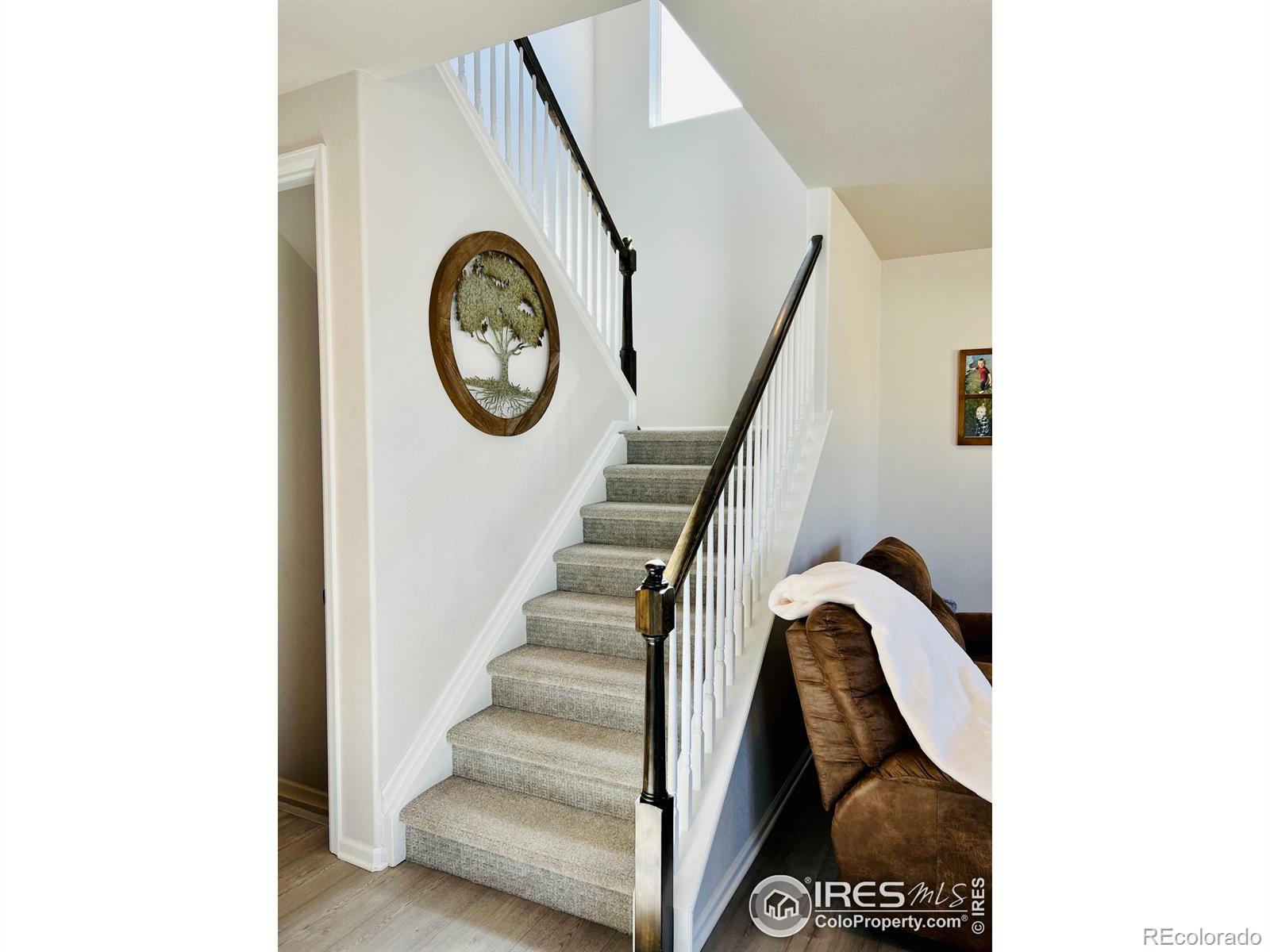 MLS Image #8 for 4520  hollycomb drive,windsor, Colorado