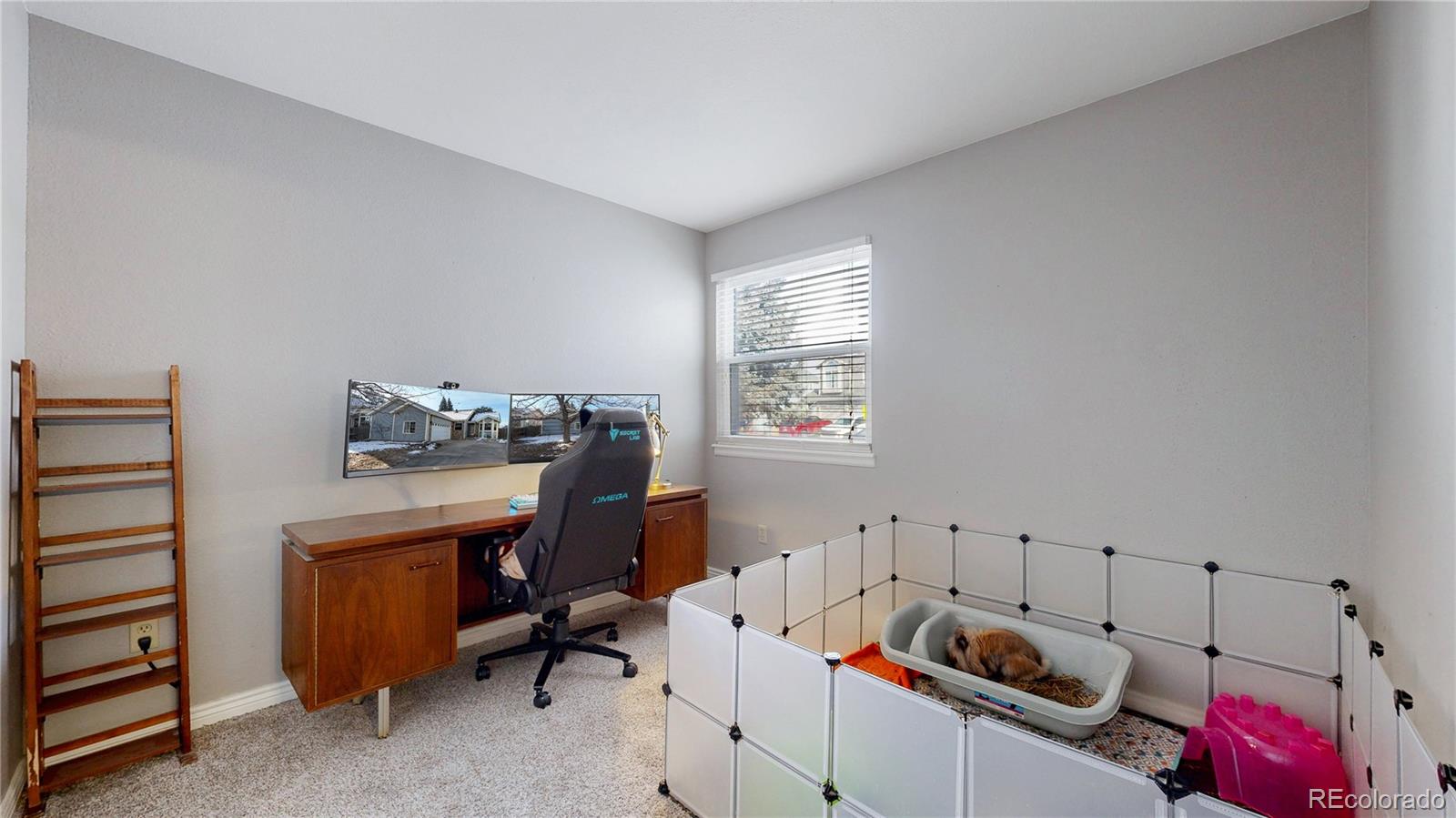 MLS Image #18 for 10078  telluride street,littleton, Colorado