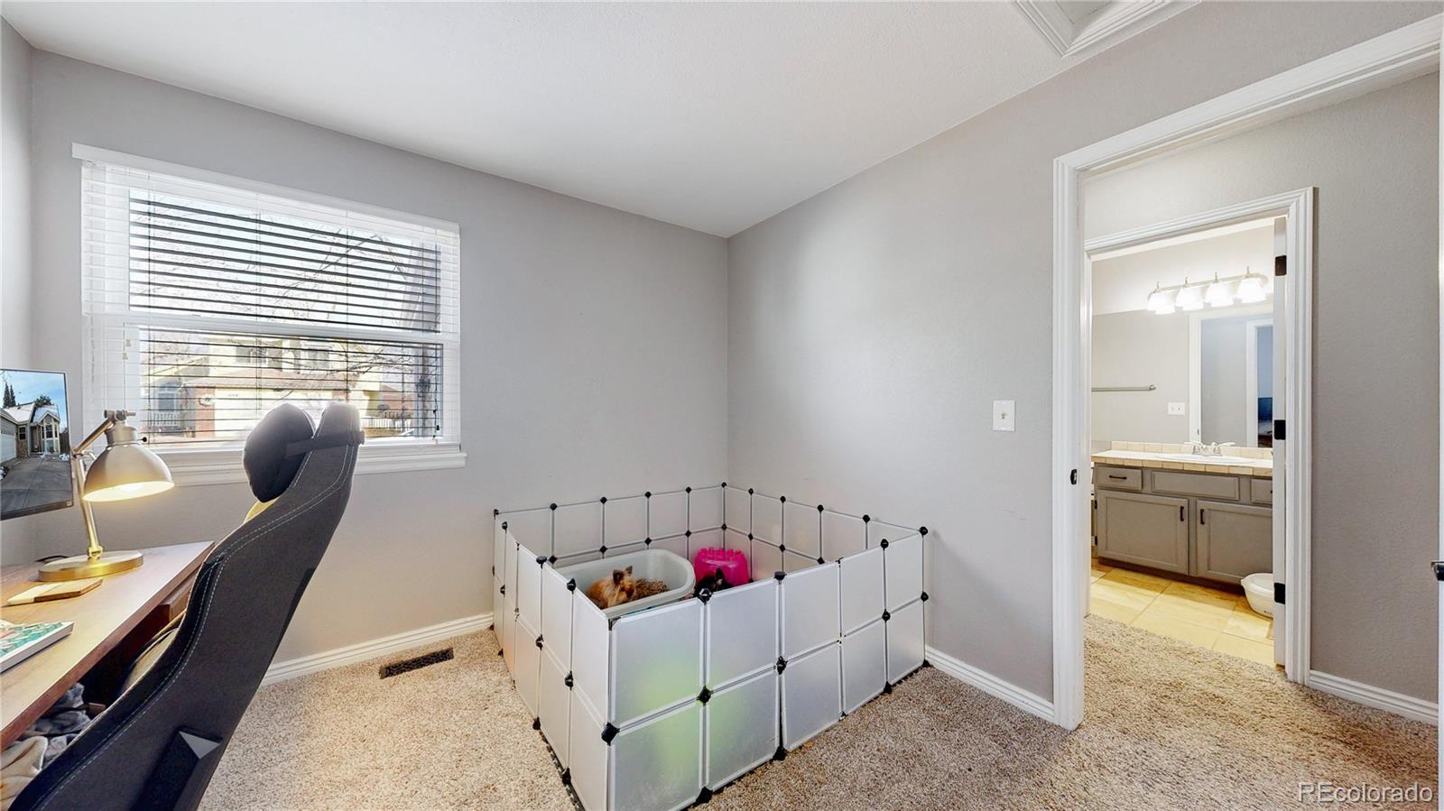 MLS Image #19 for 10078  telluride street,littleton, Colorado