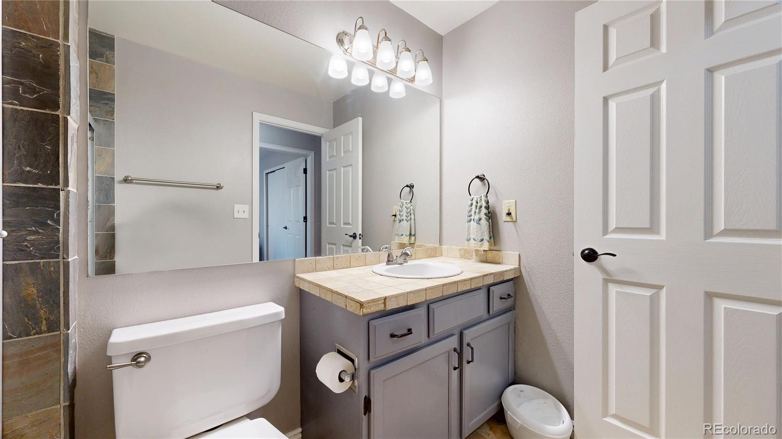 MLS Image #21 for 10078  telluride street,littleton, Colorado