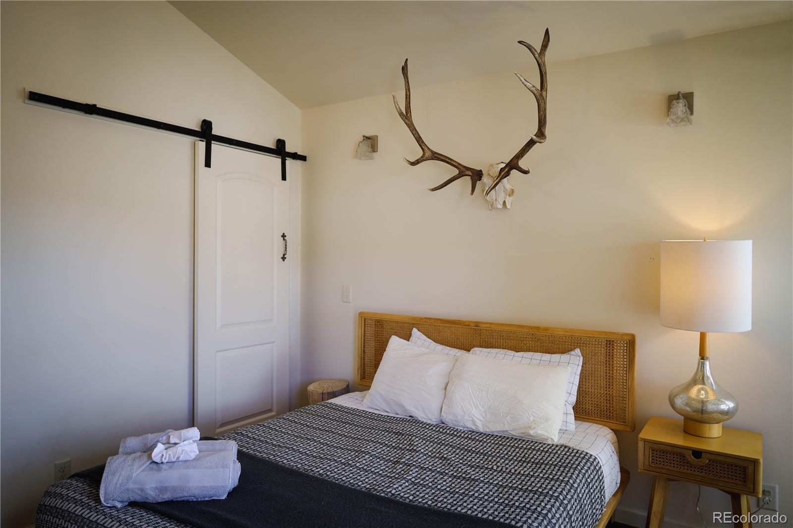 MLS Image #11 for 411  chestnut street,buena vista, Colorado