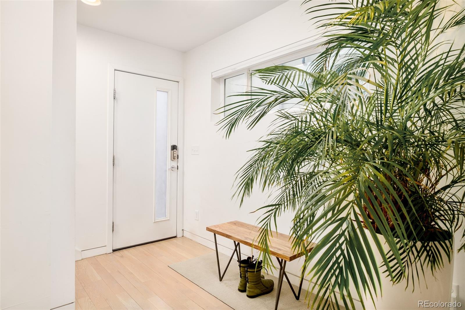 CMA Image for 3435  lawrence street,Denver, Colorado