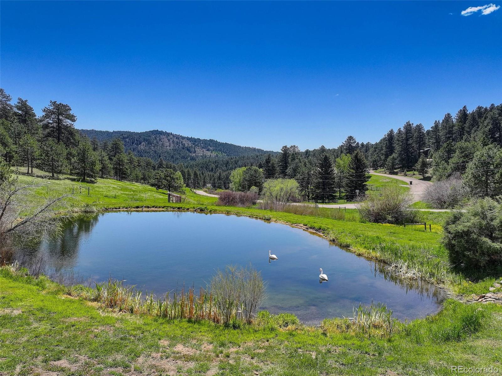 MLS Image #4 for 20101  spring gulch road,morrison, Colorado