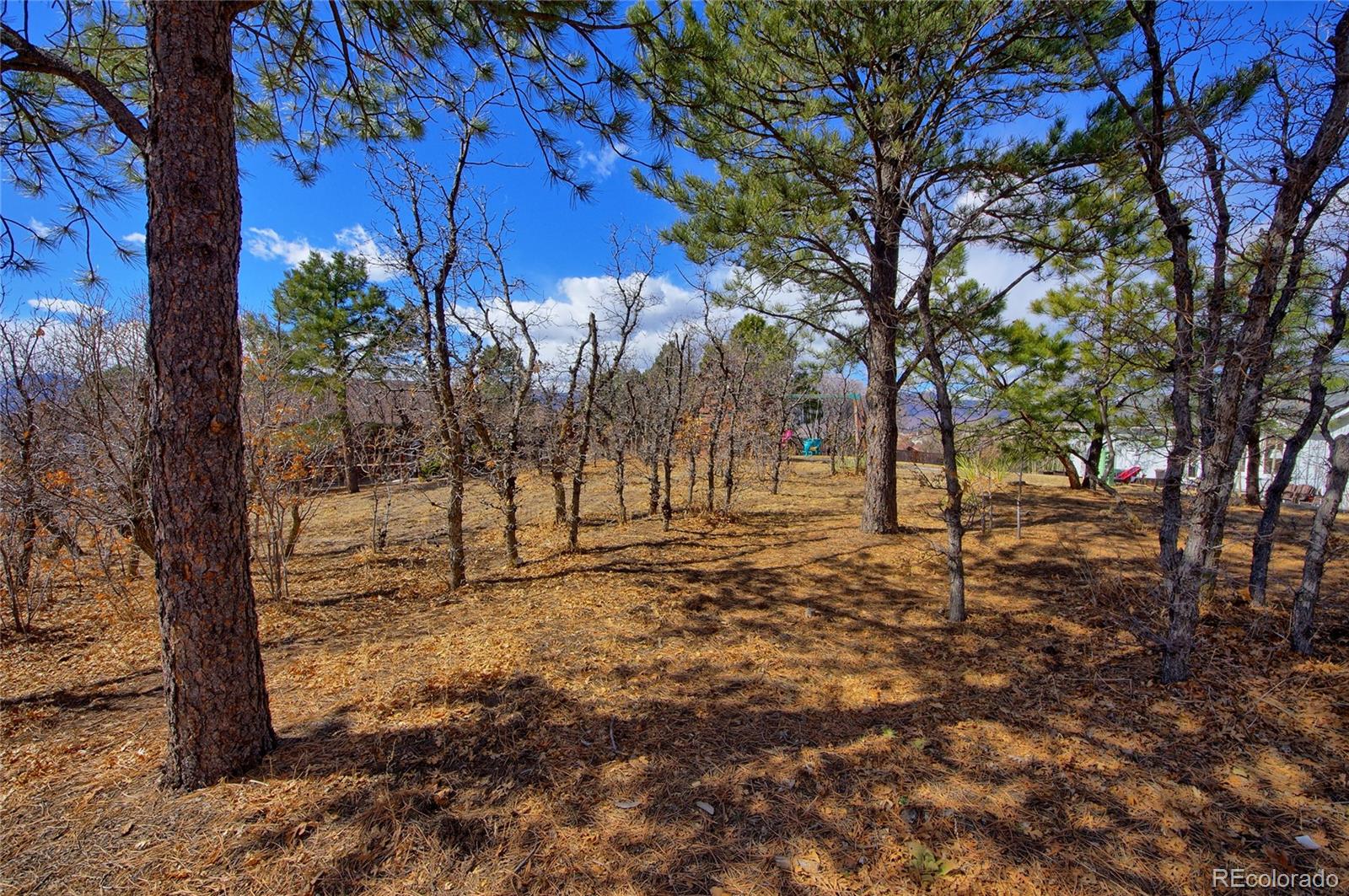 MLS Image #46 for 15130  thornbird court,colorado springs, Colorado