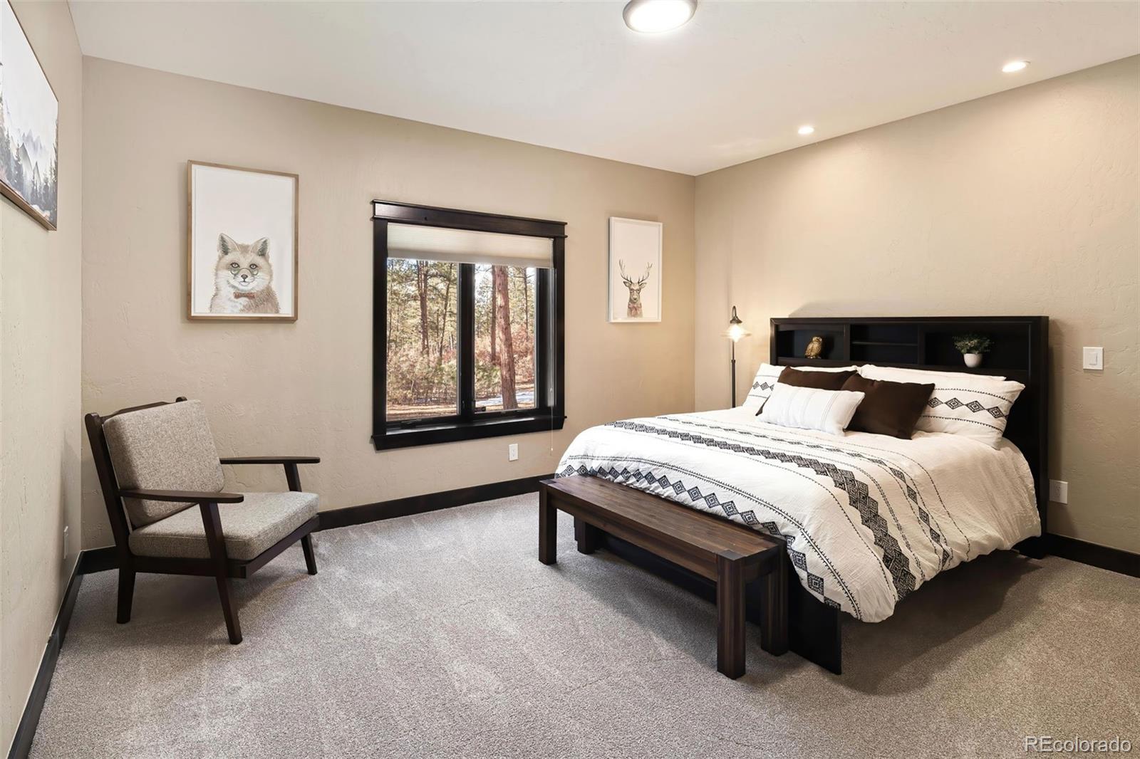 MLS Image #26 for 8294  wild timber drive,franktown, Colorado