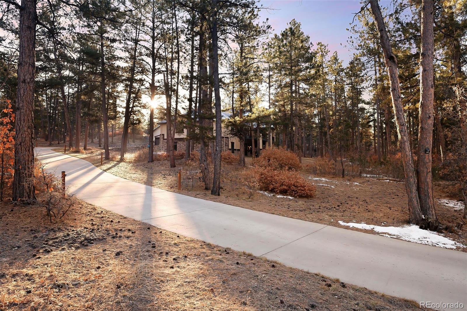 MLS Image #37 for 8294  wild timber drive,franktown, Colorado