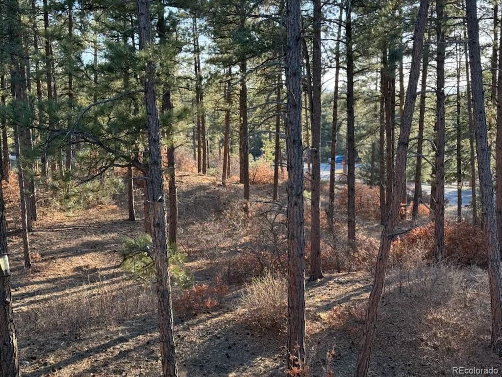 MLS Image #39 for 8294  wild timber drive,franktown, Colorado